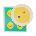 Swedish dish cloth sets